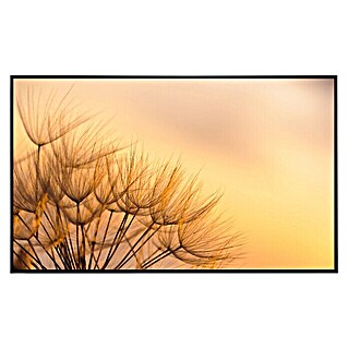 Papermoon Infrarot-Bildheizkörper Löwenzahn Sonnenuntergang (120 x 75 cm, 900 W)