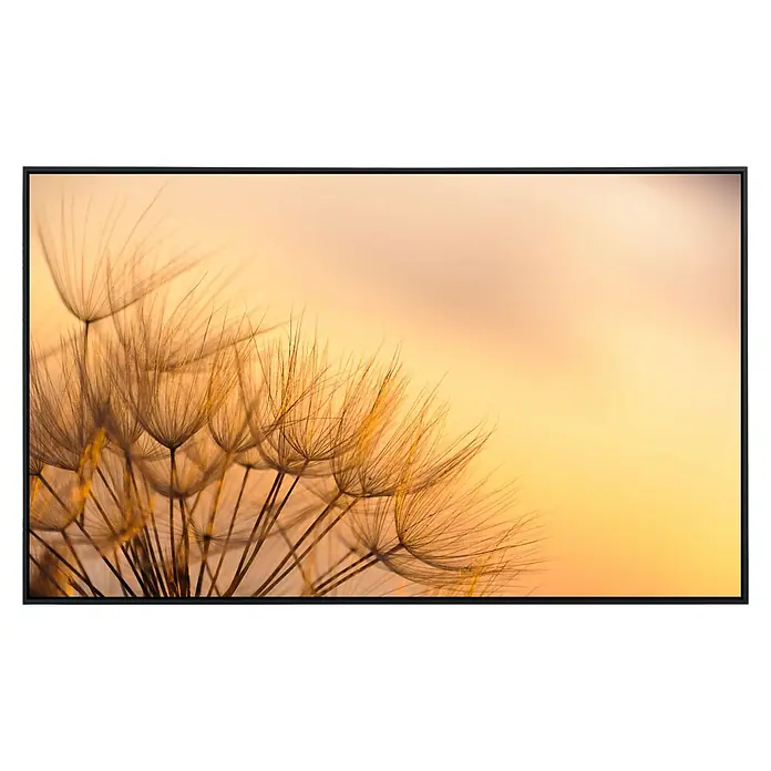Papermoon Infrarot-Bildheizkörper Löwenzahn Sonnenuntergang - 60 x 50 cm, 350 W - Nahaufnahme einer Pusteblume vor einem sanften, verschwommenen Hintergrund, gerahmt in einem modernen schwarzen Rahmen.