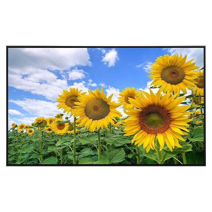 Papermoon Infrarot-Bildheizkörper Sonnenblumenfeld (120 cm x 600 mm, 1 200 W) | BAUHAUS