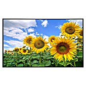 Papermoon Infrarot-Bildheizkörper Sonnenblumenfeld (120 cm x 600 mm, 1 200 W) | BAUHAUS
