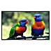 Papermoon Infrarot-Bildheizkörper Regenbogen Lorikeets Vögel 