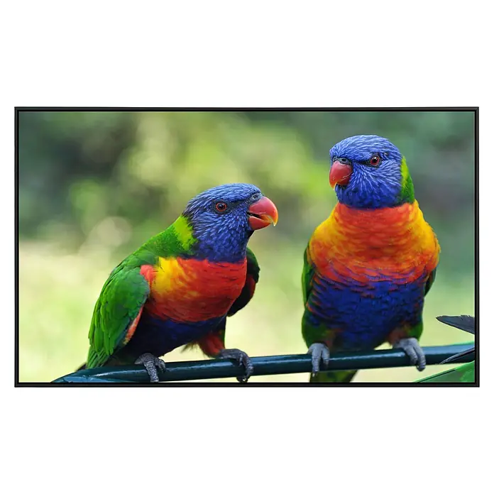 Papermoon Infrarot-Bildheizkörper Regenbogen Lorikeets Vögel - 90 x 50 cm, 450 W - Buntes Papageienpaar sitzt auf einem Ast und blickt in die Ferne, mit lebendigen Farben und scharfen Details.
