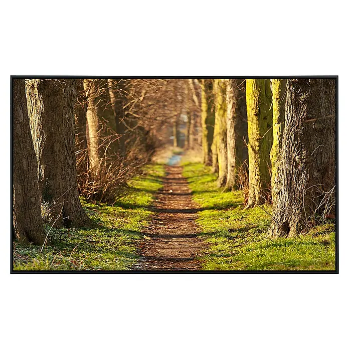 Papermoon Infrarot-Bildheizkörper Forest Walk Tunnel - 100 x 60 cm, 800 W - Ein malerischer Waldweg mit Bäumen, die das Licht filtern, schafft eine idyllische Szene. Perfekt für eine entspannende Wanderung in der Natur.