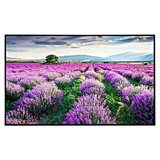 Papermoon Infrarot-Bildheizkörper Lavendel Garten 1 (100 x 60 cm, 600 W)