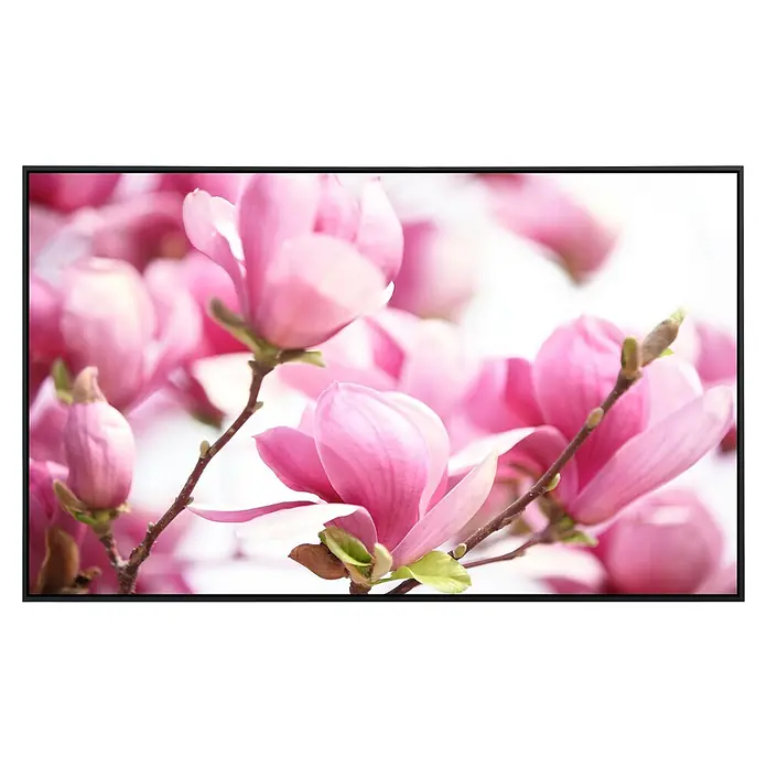 Papermoon Infrarot-Bildheizkörper Rosa Magnolie - 120 x 60 cm, 1.000 W - Nahaufnahme einer Leinwand mit Magnolienblüten in zarten Rosatönen, die eine frühlingshafte und friedliche Atmosphäre schafft.