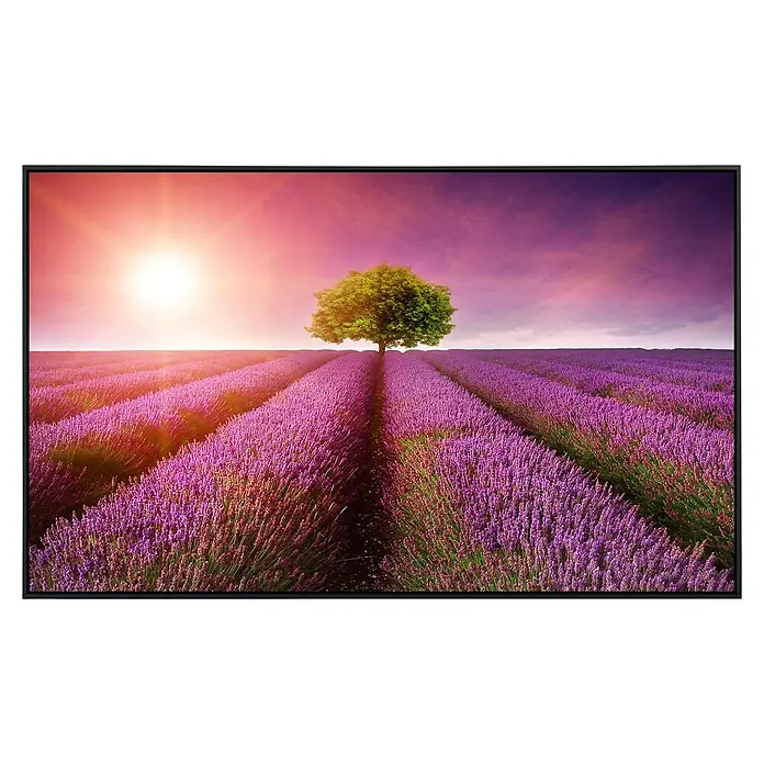 Papermoon Infrarot-Bildheizkörper Lavendelfeld 2 - 120 x 60 cm, 1.000 W - Ein Bildschirm zeigt ein Lavendelfeld mit einem Baum bei Sonnenaufgang. Das Display zeichnet sich durch lebendige Farben und hohe Detailschärfe aus.