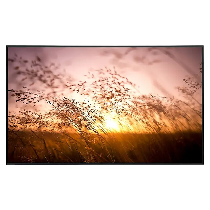 Papermoon Infrarot-Bildheizkörper Trockenes Gras im Sommer - 100 x 60 cm, 600 W - Kunstvolles Gemälde mit goldenem Gras im Gegenlicht, das die friedliche Atmosphäre des Moments einfängt.