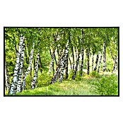 Papermoon Infrarot-Bildheizkörper Birkenwald 3 (100 x 60 cm, 800 W) | BAUHAUS