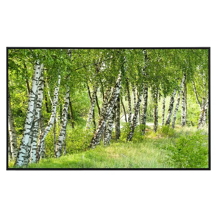 Papermoon Infrarot-Bildheizkörper Birkenwald 3 - 120 x 60 cm, 1.000 W - Helle Birkenstämme im Wald mit grünen Blättern im Sommer, eingefasst in einen dunklen Rahmen. Natürliche Waldszene, malerische Ruhe.