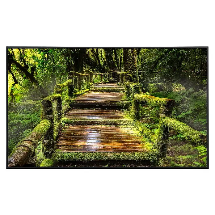 Papermoon Infrarot-Bildheizkörper Regenwald bei Ang Ka - 60 x 50 cm, 350 W - Moosbedeckter Holzsteg schlängelt sich durch dichten Wald. Die feuchte Umgebung lässt das Holz glänzen.