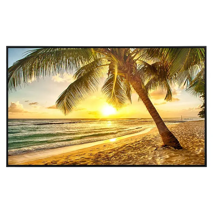 Papermoon Infrarot-Bildheizkörper Barbados Palm Beach 3 - 100 x 60 cm, 600 W - Ein gerahmtes Kunstwerk mit einem sonnenverwöhnten Strand und einer majestätischen Palme, das Urlaubsgefühle weckt.