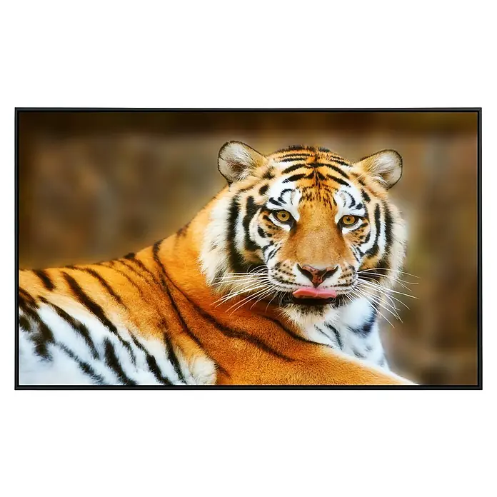 Papermoon Infrarot-Bildheizkörper Ruhender Tiger - 60 x 50 cm, 350 W - Ein atemberaubendes Wandbild eines Tigers, das die Schönheit und Kraft des Tieres perfekt einfängt. Ein echter Blickfang für jeden Raum.