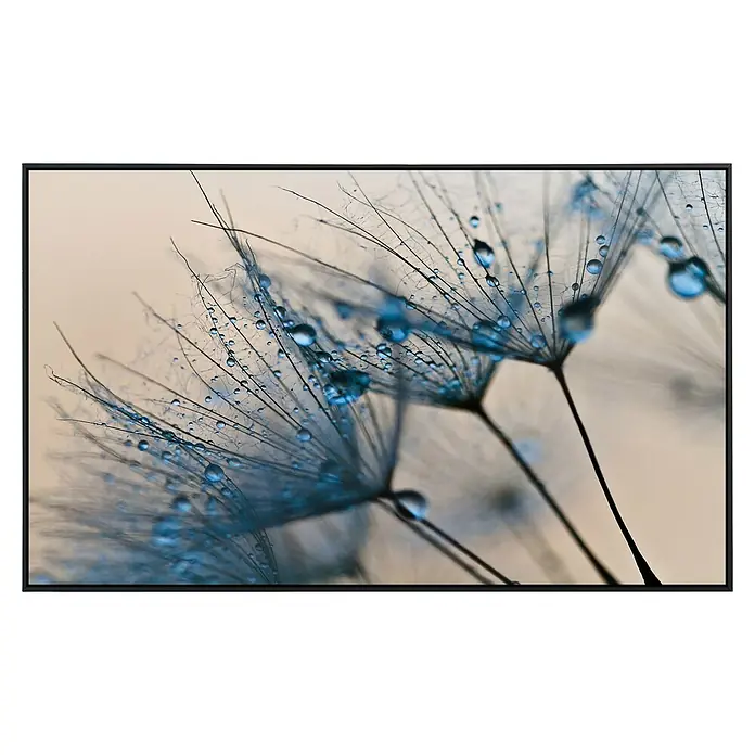 Papermoon Infrarot-Bildheizkörper Abstrakter Löwenzahn - 100 x 60 cm, 800 W - Nahaufnahme von Wassertropfen auf filigranen Löwenzahnsamen vor sanftem Hintergrund, eingefasst in einem eleganten Rahmen.