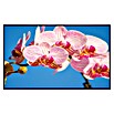 Papermoon Infrarot-Bildheizkörper Rosa Phalaenopsis Orchidee (90 x 50 cm, 450 W) | BAUHAUS