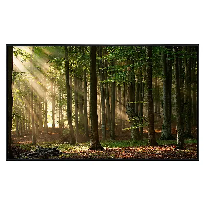 Papermoon Infrarot-Bildheizkörper Herbstwald 3 - 90 x 50 cm, 450 W - Stimmungsvolles Waldbild mit sanften Lichtstrahlen, die durch das dichte Blätterdach scheinen und eine friedliche Waldszene beleuchten.