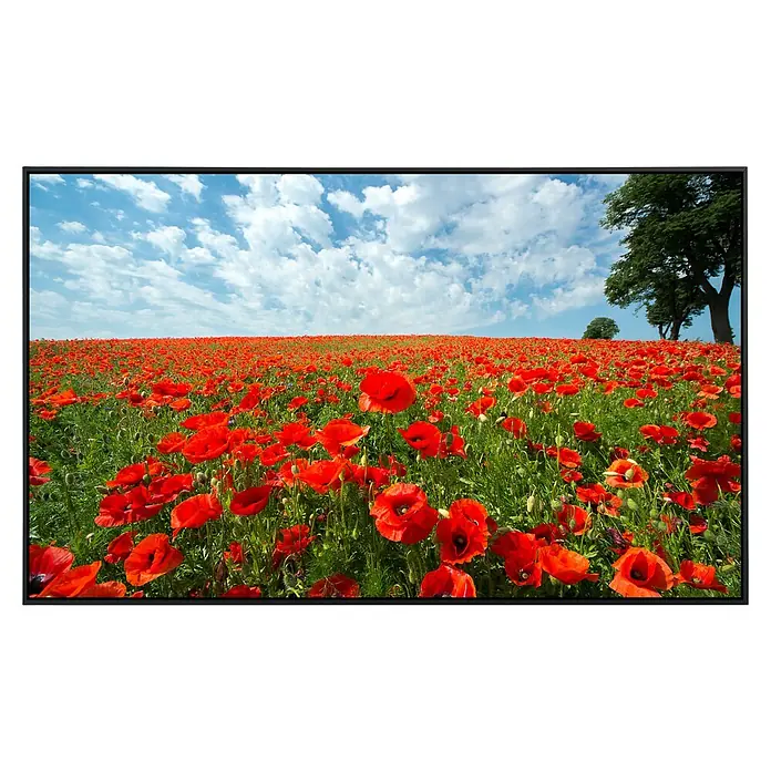 Papermoon Infrarot-Bildheizkörper Rotes Mohnfeld 1 - 60 x 50 cm, 350 W - Das Display zeigt eine lebendige Mohnblumenwiese unter blauem Himmel mit weißen Wolken, ein friedliches Naturschauspiel.