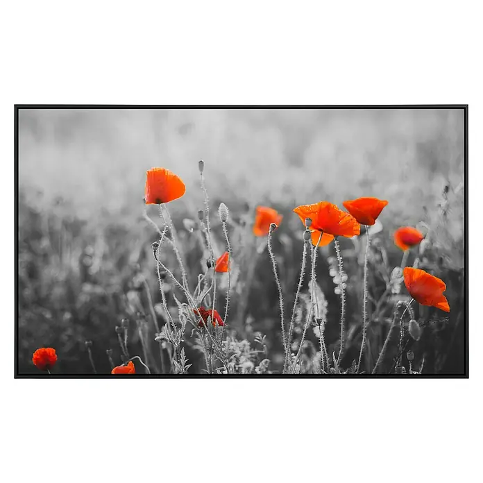Papermoon Infrarot-Bildheizkörper Rote Mohnblumen 2 - 120 x 60 cm, 1.000 W - Nahaufnahme von rot blühenden Mohnblumen, die vor dem unscharfen, monochromen Hintergrund hervorstechen. Diese Kunst-Leinwand verleiht Ihrem Raum Farbe.