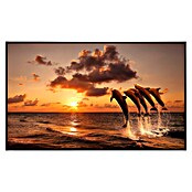Papermoon Infrarot-Bildheizkörper Sonnenuntergang springende Delfine (100 x 60 cm, 800 W) | BAUHAUS