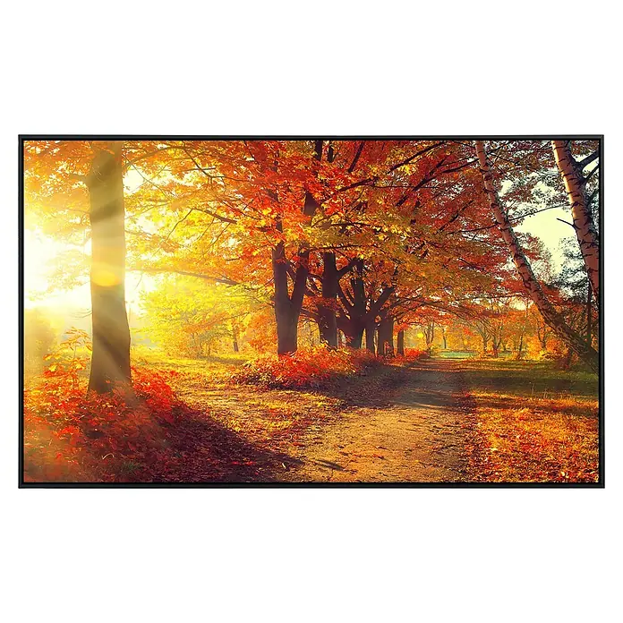 Papermoon Infrarot-Bildheizkörper Herbstwald 4 - 60 x 50 cm, 350 W - Herbstliche Szene in warmen Farben mit leuchtenden Blättern und einem Weg, eingerahmt in einem schwarzen Rahmen, ideal für eine gemütliche Atmosphäre.