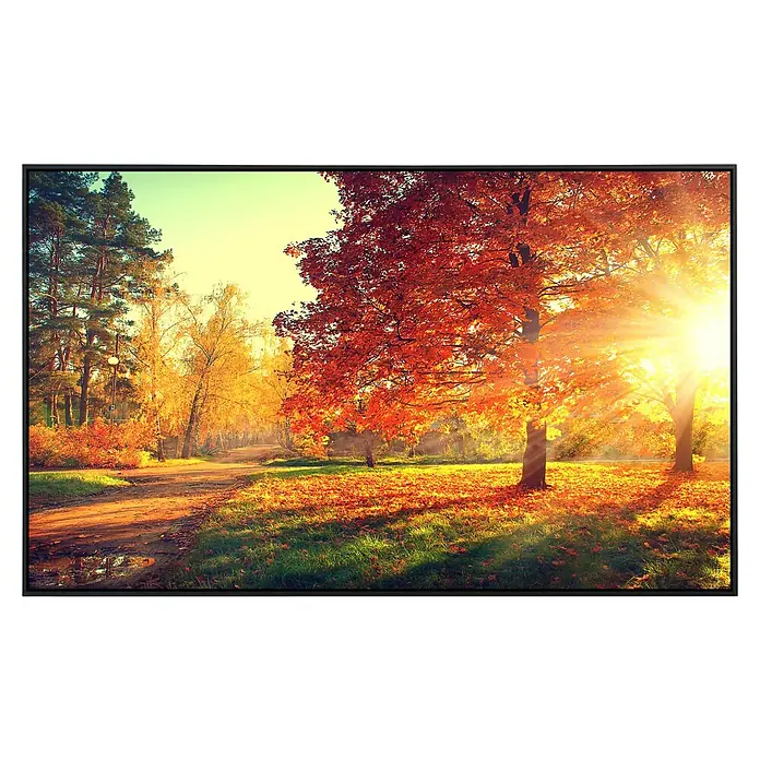 Papermoon Infrarot-Bildheizkörper Herbstbäume 2 - 120 x 60 cm, 1.000 W - Herbstliche Szene mit warmen Farben, die ein Gemälde in einem schwarzen Rahmen einrahmt und die Schönheit der Natur einfängt.