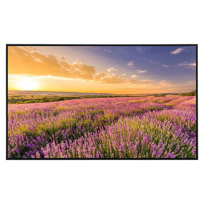 Papermoon Infrarot-Bildheizkörper Lavendelfeld 4 - 90 x 50 cm, 450 W - Nahaufnahme eines Fernsehers, der ein Feld mit blühendem Lavendel bei Sonnenuntergang zeigt.
