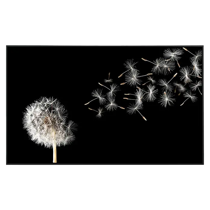 Papermoon Infrarot-Bildheizkörper Löwenzahn - 100 x 60 cm, 800 W - Nahaufnahme einer Pusteblume mit fliegenden Samen auf schwarzem Hintergrund, die die Vergänglichkeit und Schönheit der Natur zeigt.