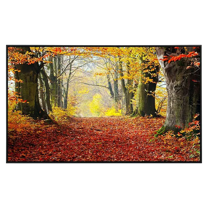 Papermoon Infrarot-Bildheizkörper Herbst Waldweg - 60 x 50 cm, 350 W - Herbstlicher Waldweg mit roten Blättern. Die Bäume mit gelbem Laub säumen den Weg und erzeugen eine malerische Herbstszene.