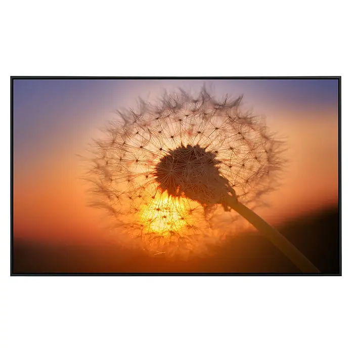 Papermoon Infrarot-Bildheizkörper Goldener Sonnenuntergang Löwenzahn - 100 x 60 cm, 600 W - Nahaufnahme einer Pusteblume im Gegenlicht der untergehenden Sonne, gerahmt in einem schwarzen Rahmen.
