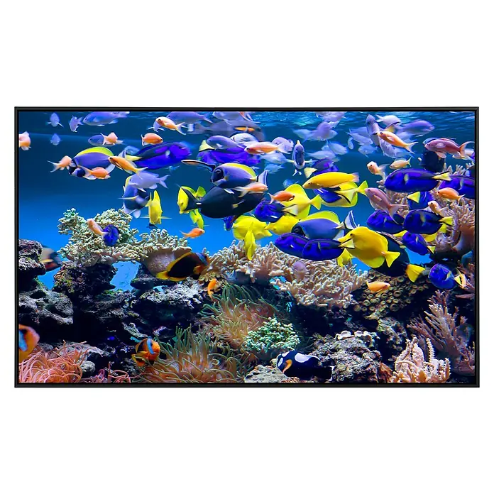 Papermoon Infrarot-Bildheizkörper Aquarium - 120 x 60 cm, 1.200 W - Ein farbenprächtiges Aquarium mit exotischen Fischen und Korallenriffen, beleuchtet durch das klare, blaue Wasser.