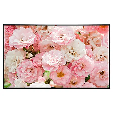 Papermoon  Infrarot-Bildheizkörper Rosa Rosen 2