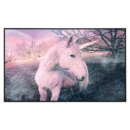 Papermoon  Infrarot-Bildheizkörper Einhorn