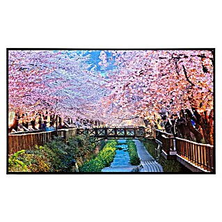 Papermoon Infrarot-Bildheizkörper Kirschblüten Busan City (120 x 60 cm, 750 W)