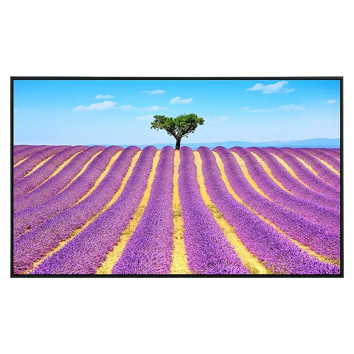 Papermoon Infrarot-Bildheizkörper Lavendel in der Provence - 100 x 60 cm, 600 W - Ein Bildschirm zeigt ein Lavendelfeld mit einem Baum in der Mitte. Die Farben sind lebendig und der Himmel ist blau.