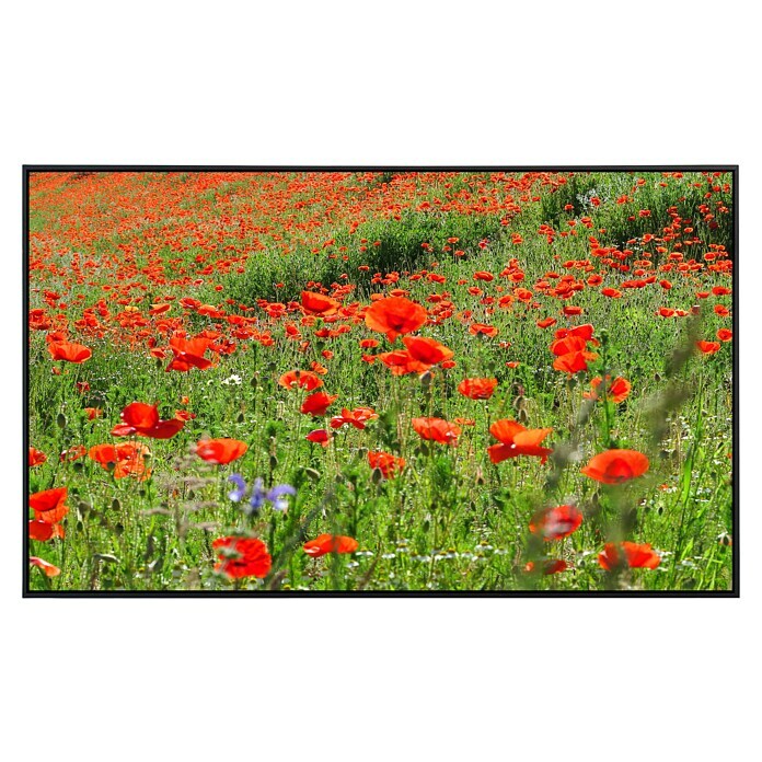 Papermoon Infrarot-Bildheizkörper Red Poppa Field (120 x 75 cm, 900 W)