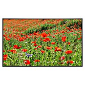 Papermoon Infrarot-Bildheizkörper Red Poppa Field (120 x 75 cm, 900 W) | BAUHAUS