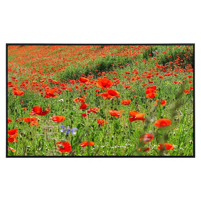 Papermoon Infrarot-Bildheizkörper Red Poppa Field - 90 x 50 cm, 450 W - Ein wunderschönes Mohnfeld mit roten Blüten, das sich bis zum Horizont erstreckt. Die grüne Wiese bietet einen farbenfrohen Kontrast.