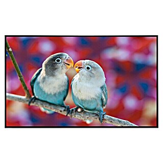 Papermoon Infrarot-Bildheizkörper Liebesvögel (120 x 60 cm, 750 W)