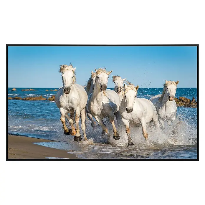 Papermoon Infrarot-Bildheizkörper Camargue - 100 x 60 cm, 800 W - Das Bild zeigt eine Gruppe weißer Pferde, die an einem Strand entlanggaloppieren. Die Bewegung der Tiere und das aufspritzende Wasser erzeugen Dynamik.