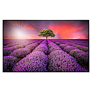 Papermoon Infrarot-Bildheizkörper Lavendelfeld in Sunburst (80 x 60 cm, 450 W)