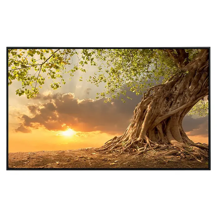 Papermoon Infrarot-Bildheizkörper Alter Baum im Sonnenuntergang - 120 x 60 cm, 1.000 W - Ein beeindruckendes Bild von einem alten Baum im warmen Licht der untergehenden Sonne, eingefasst in einem eleganten, schwarzen Rahmen.