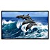 Papermoon Infrarot-Bildheizkörper Verspielte Delfine 