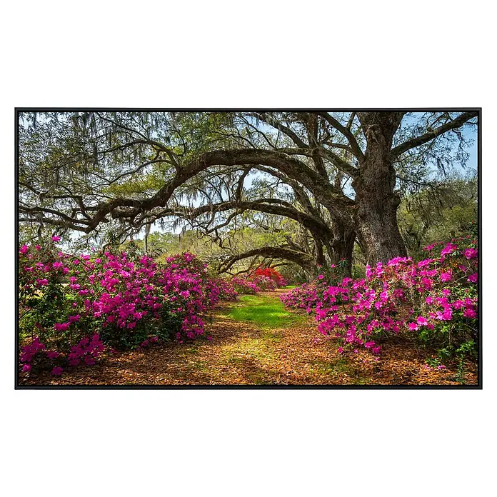 Papermoon Infrarot-Bildheizkörper Frühlingsblumen und Oaktrees - 60 x 50 cm, 350 W - Eindrucksvolles Bild mit leuchtend pinkfarbenen Azaleen unter alten Eichen, die einen natürlichen Tunnel bilden.