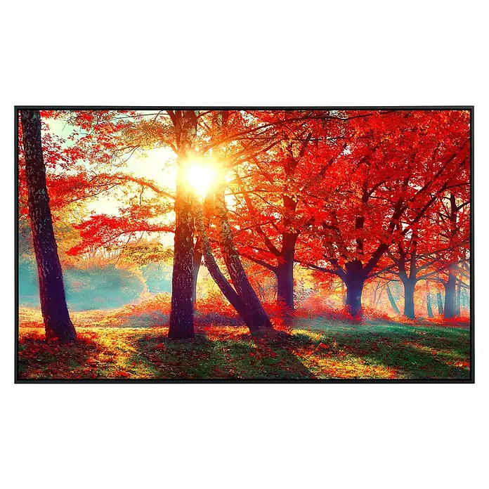 Papermoon Infrarot-Bildheizkörper Herbstpark - 90 x 50 cm, 450 W - Herbstlicher Waldblick mit leuchtendem Sonnenlicht, gerahmt von einem modernen schwarzen Bilderrahmen. Perfekt für eine warme Atmosphäre im Raum.