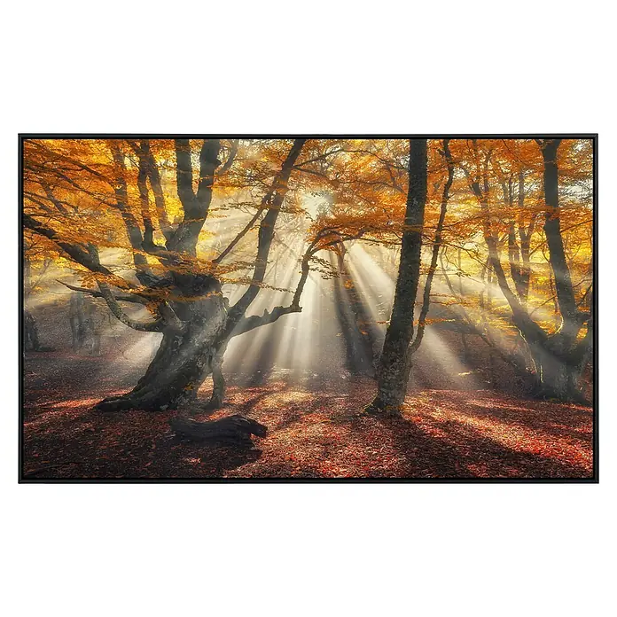 Papermoon Infrarot-Bildheizkörper Magische alte Bäume - 100 x 60 cm, 600 W - Herbstwald im goldenen Licht. Die Sonnenstrahlen scheinen durch die Bäume und erhellen den Boden. Wunderschöne Herbstlandschaft.