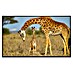 Papermoon Infrarot-Bildheizkörper Massai Giraffe die Baby schützt 