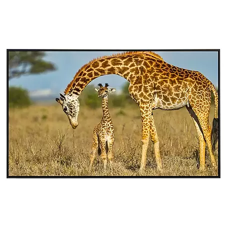 Papermoon  Infrarot-Bildheizkörper Massai Giraffe die Baby schützt