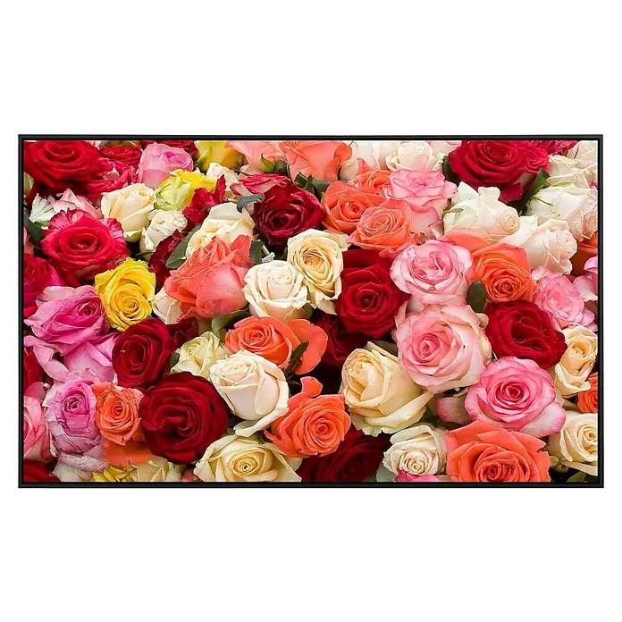 Papermoon Infrarot-Bildheizkörper Rosen - 60 x 50 cm, 350 W - Farbenfrohes Rosen-Arrangement. Verschiedene Rosenblüten in Rot, Rosa, Gelb und Weiß bilden einen üppigen, floralen Hintergrund.