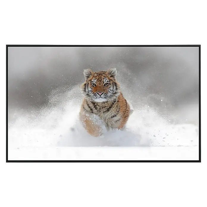 Papermoon Infrarot-Bildheizkörper Sibirischer Tiger80 x 60 cm, 450 W - Tigerjunges läuft durch den Schnee. Das Bild fängt die Kraft und Anmut des jungen Tieres in einer Winterlandschaft perfekt ein.