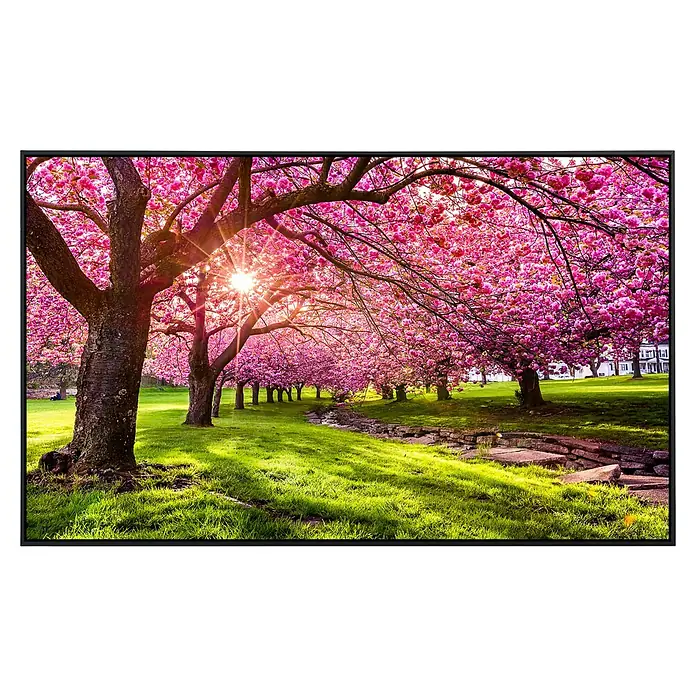 Papermoon Infrarot-Bildheizkörper Kirschbaumblüte - 100 x 60 cm, 800 W - Ein atemberaubendes Landschaftsbild mit blühenden Kirschbäumen, die das Sonnenlicht durchlassen und eine idyllische Szene schaffen.