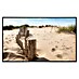 Papermoon Infrarot-Bildheizkörper Dünen Sandy Beach 
